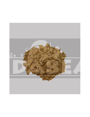 Lotus rose (Nelumbo nucifera) 50X 1gr