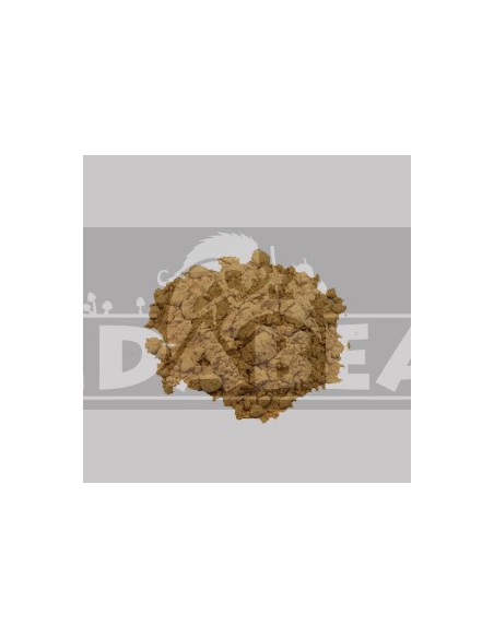 Lótus cor-de-rosa (Nelumbo nucifera) 50X 1gr