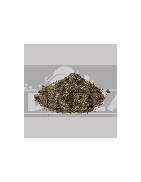 Calea zacatechichi 10X 1 gr