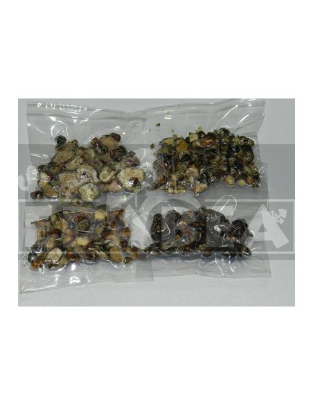 Trufas alucinogenas 4 x 3  