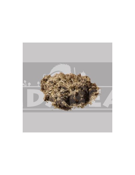 Helichrysum Imphepho 50 grs.