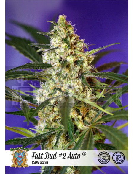 Fast Bud 2 Auto 3 seeds