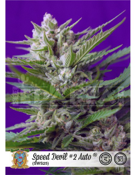Speed Devil 2 Auto