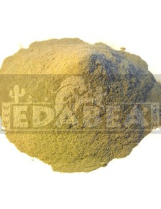 Kratom Borneo Weiße Ader