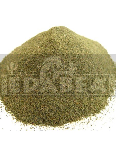 Kratom Borneo Veia Vermelha