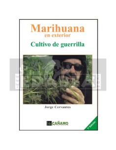 Cultivo de maconha ao ar livre em guerrilha