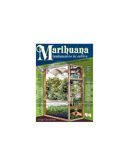 Marijuana: basi della coltivazione