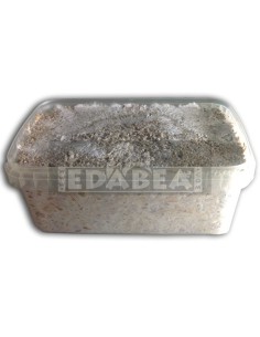 Kit Mazatapec 2