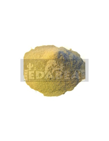 Kratom Maeng Da Vena Rossa