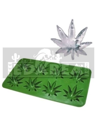 Ice cubes marijuana leaf
