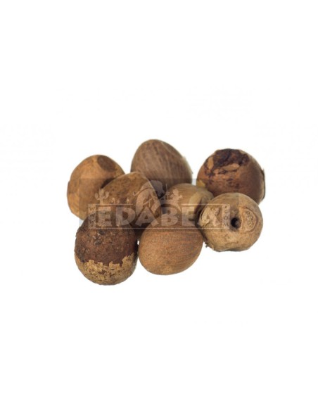 Noce di Betel (Areca Catechu) 80gr.