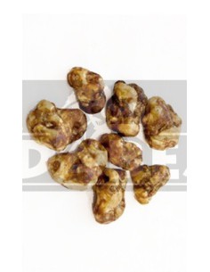 Trüffel Psilocybe tampanensis 15 g.