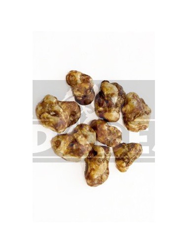 Trufa psilocybe tampanensis 15 g.