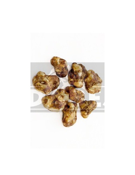 Trüffel Psilocybe tampanensis 15 g.