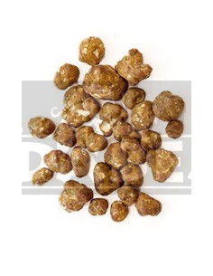 Trüffel Psilocybe mexicana 15 grs.
