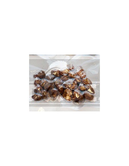 Trufa psilocybe mexicana