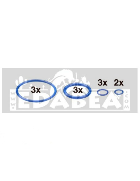 Mighty seal ring set
