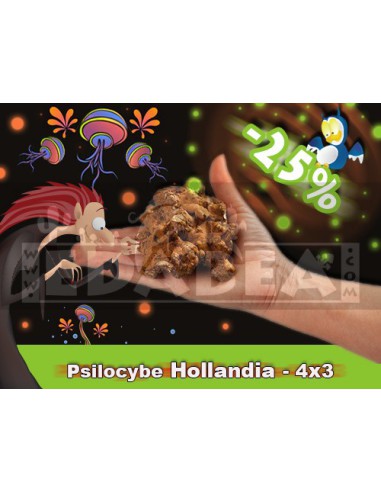 Trufas alucinogenas 4 x 3  