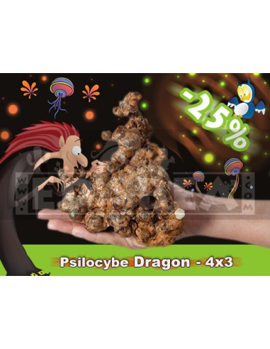 Tartufi di Psilocybe Dragon 150 gr.