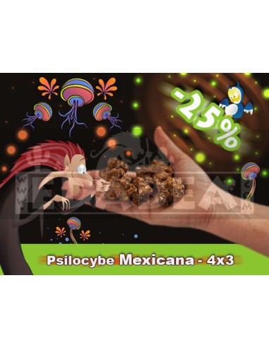 Hallucinogenic truffles 4 x 3