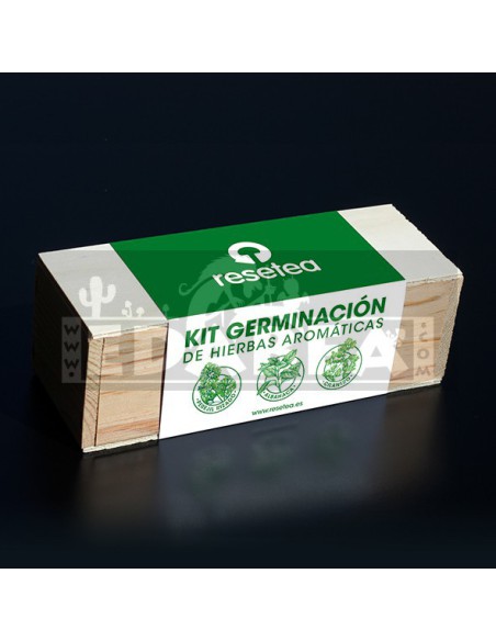 Kit Germinação Ervas Aromáticas