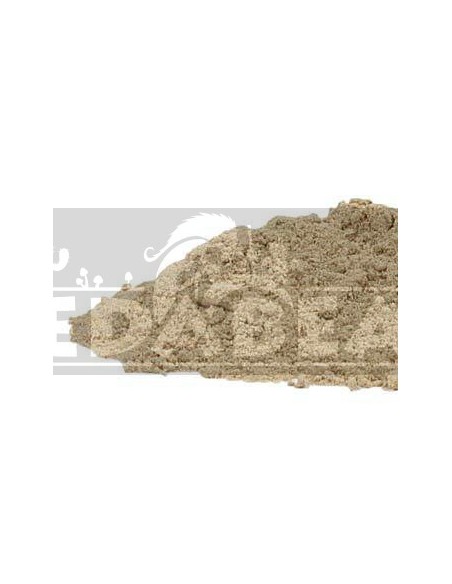 Acorus Calamus 80 gr.