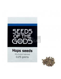 Lúpulo (Humulus lupulus)