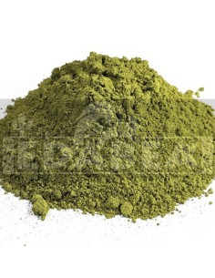 Kratom Thai Rote Ader