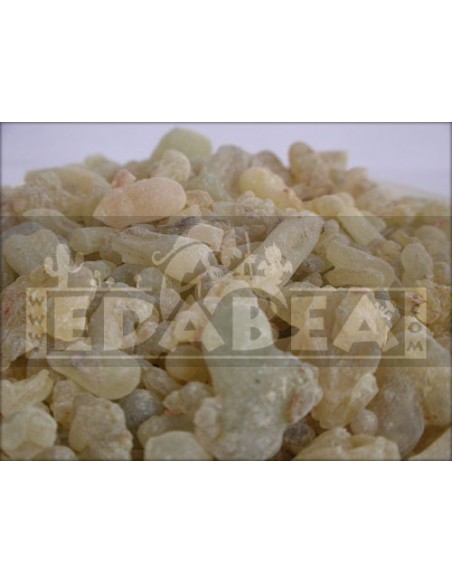 Frankincense 50 grs.