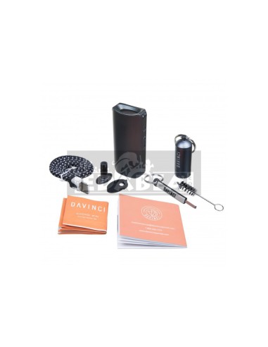 Vaporisateur DaVinci IQ