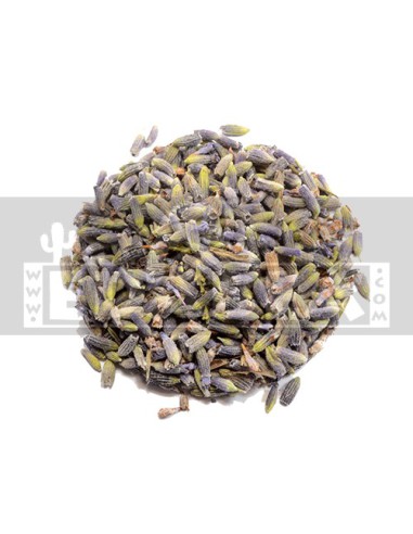 Lavandula Angustifolia 100 grs.