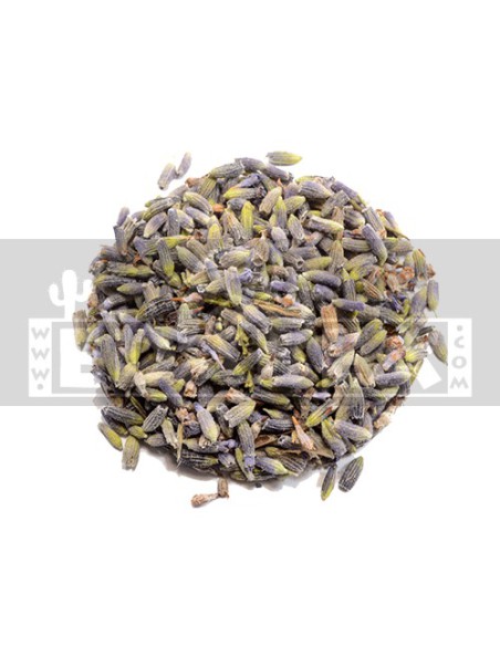 Lavandula Angustifolia 100 grs.