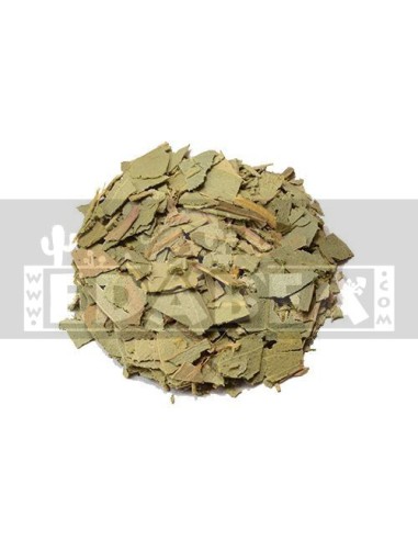 Eucalyptus globulus 100 grs.
