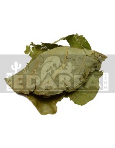 Banisteriopsis caapi - Getrocknete Blätter 100 g.