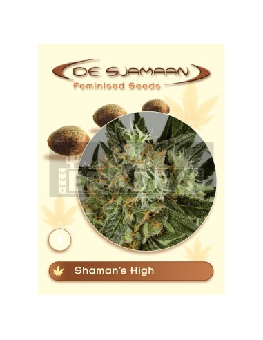 Shaman's High 