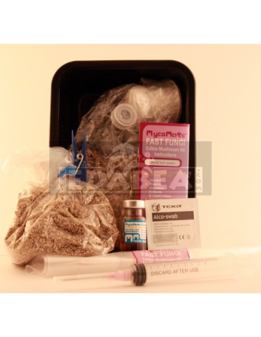 Funghi veloci