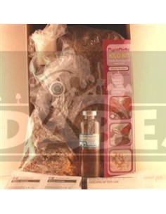 Kilo-Bausatz 2