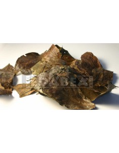 Chaliponga (Diplopterys cabrerana ) 20grs.