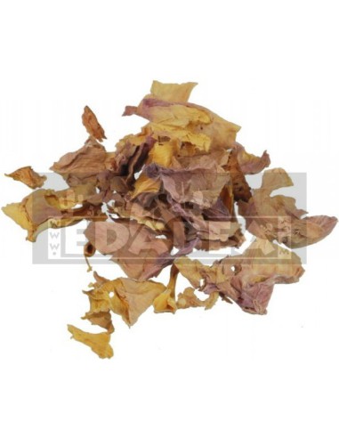 Rosa Lotos (Nelumbo nucifera) 20grs.