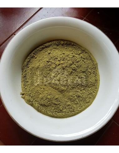 Kratom de Borneo Vena Blamca Jongkong