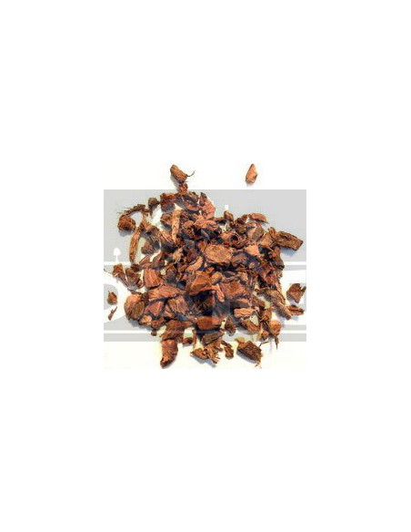 Galanga (Alpinia galanga) 50grs.