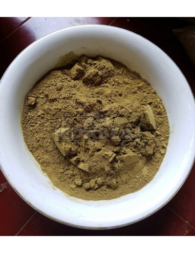 Borneo Rote Ader Kratom Jongkong