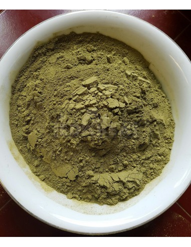 Borneo Kratom Grüne Ader Jongkong