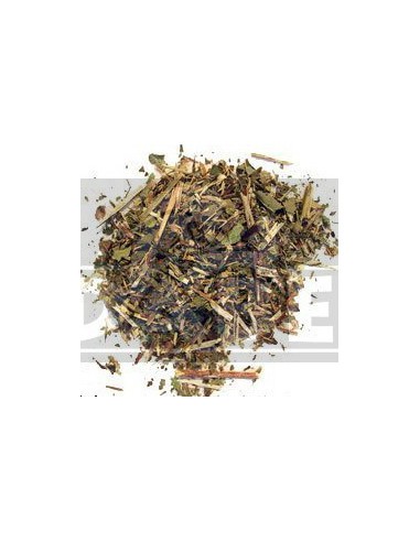 Scutellaire (Scutellaria galericulata) 50grs.