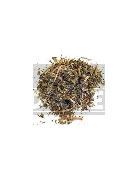 Cappuccino (Scutellaria galericulata) 50gr.
