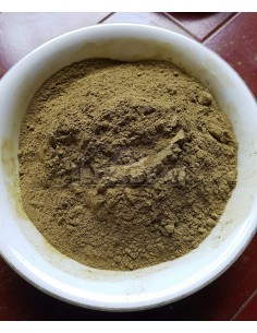 Borneo Kratom Vena Gialla Jongkong