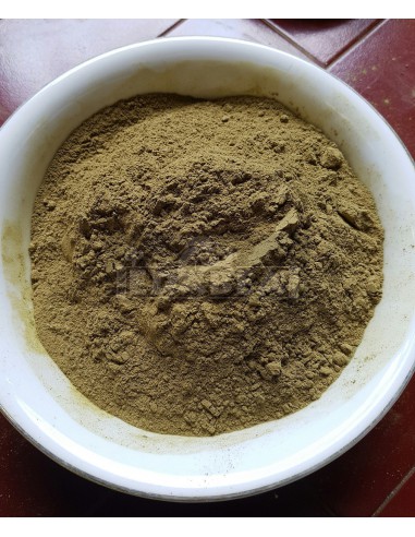 Bornean Kratom Gelbe Ader Jongkong