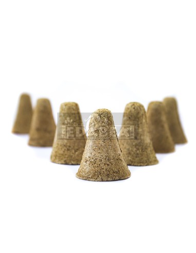 Palo Santo Kegel XL