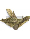 Chacruna (Psychotria viridis)