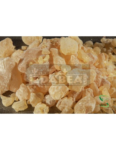 Indischer Dammar 50 grs.